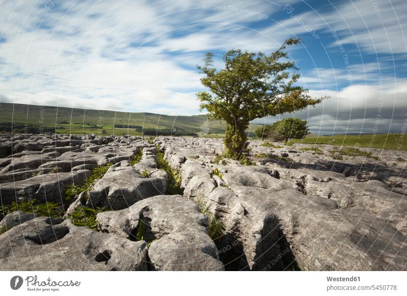 UK, England, Yorkshire Dales National Park, Limestones cloud clouds Long Exposure Time Exposed Time Exposure tranquility tranquillity Calmness day daylight shot
