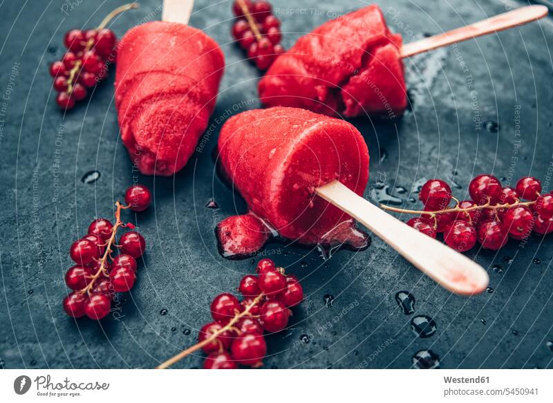 Homemade currant popsicles and red currants on slate temptation tempting sweet Sugary sweets fruity sorbet sorbets Dessert Afters Desserts currant ice cream