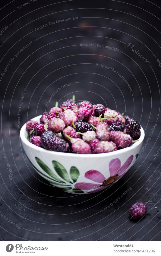 Bowl of organic mulberries food and drink Nutrition Alimentation Food and Drinks copy space stalk Stipes Plant Stem stalks Stems Plant Stems painted