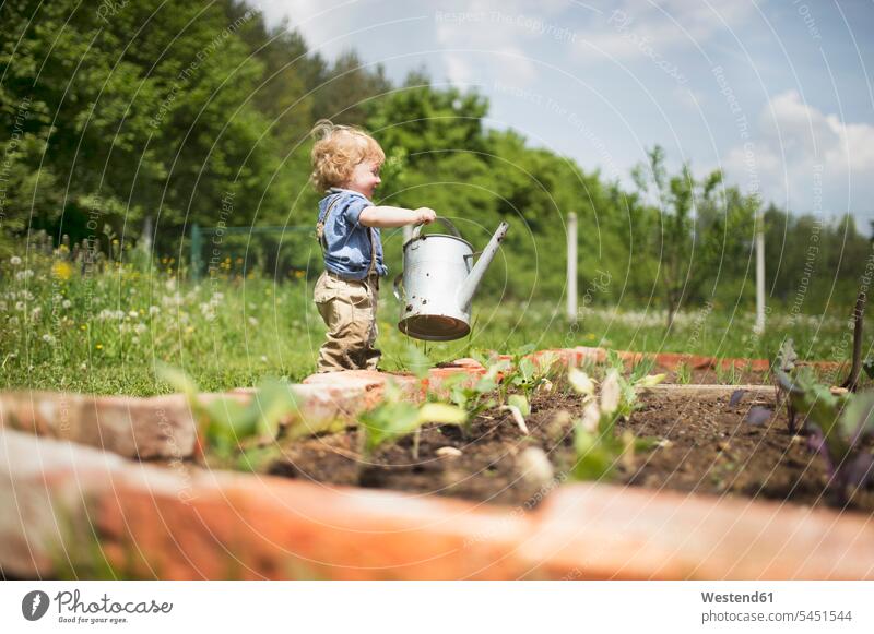 Little boy in the garden watering seedlings gardening yardwork yard work gardens domestic garden watering can watering cans holding Joy enjoyment pleasure