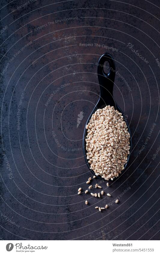 Spoon of of spelt grains on rusty metal rusting rusted healthy eating nutrition many plenty large group of objects many objects abundance Plentiful whole meal