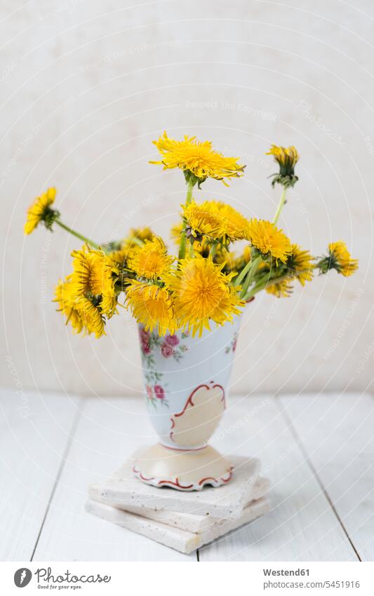 Flower vase of dandelions flower vase flower vases floral light background on top of flowering blooming copy space Dandelion Dandelions Taraxacum patterned