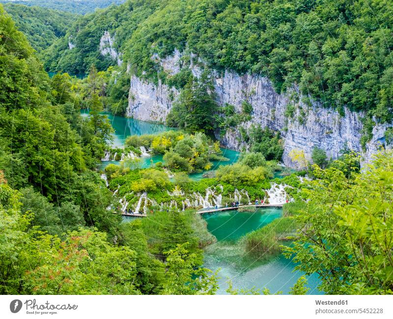 Croatia, Lika-Senj, Osredak, Plitvice Lakes National Park water National Parks Tree Trees landscape landscapes scenery terrain scenics sceneries scenic view