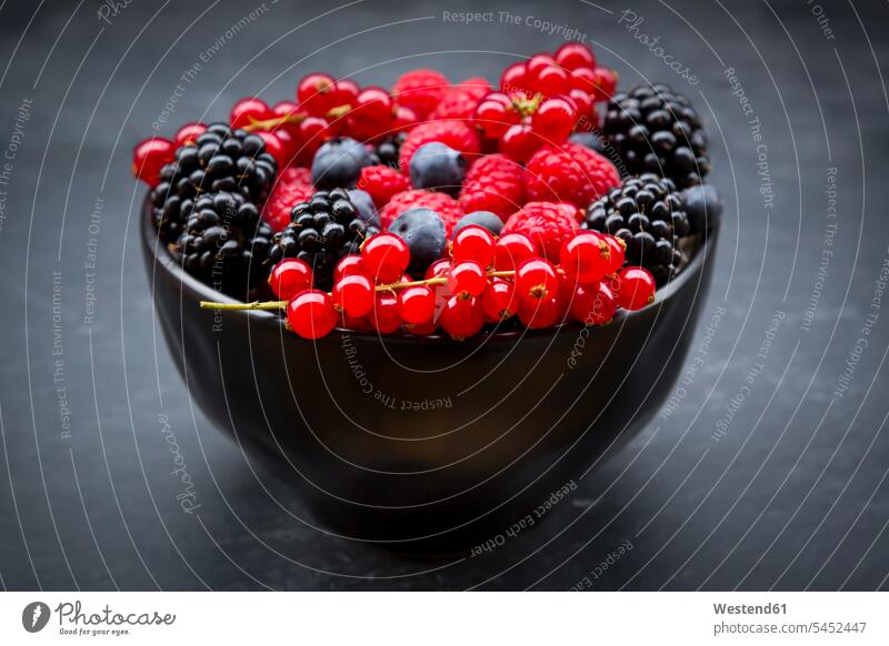 Wild berries in bowl Bowl Bowls variation large group of objects many objects abundance Plentiful fruit various different blueberry bilberry blueberries