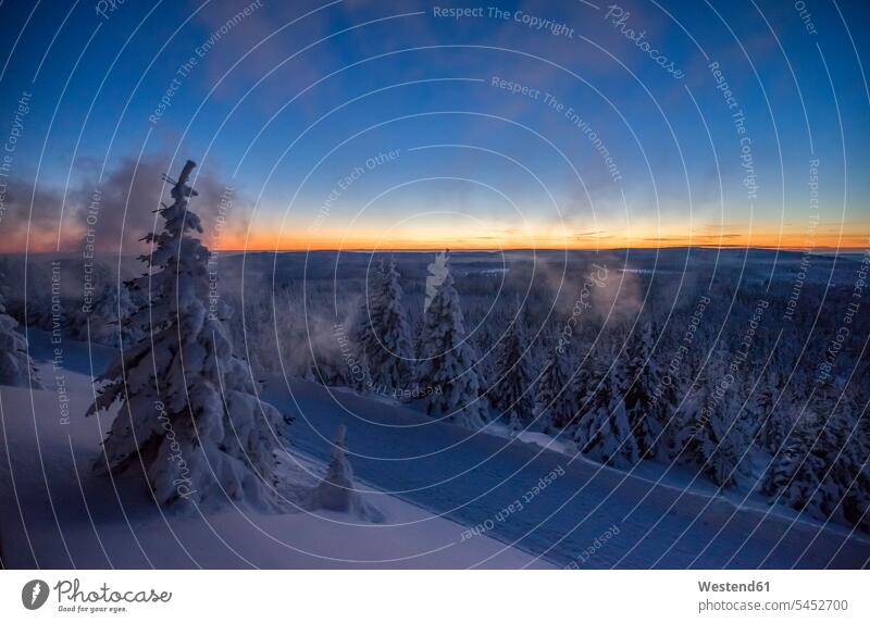 Germany, Saxony-Anhalt, Harz National Park in winter in the evening coniferous forest hiking trail hiking path hiking trails rural country countryside Tree