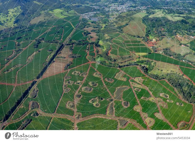 USA, Hawaii, Kauai, Southern coast, coffee plantation, aerial view agriculture cropland cultivation area nature natural world Agrarian farming Agricultural
