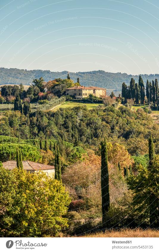 Italy, Tuscany, cultural landscape with pine trees and cypresses typical typically tranquility tranquillity Calmness day daylight shot daylight shots day shots