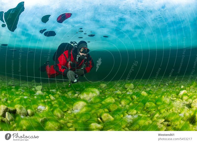 Austria, Styria, Lake Grundlsee, scuba diver under ice floe underwater submerged Under Water underwater shot underwater shots divers Underwater Diving