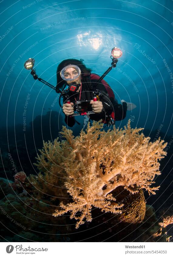 Palau, woman diving dive females women coral corals Adults grown-ups grownups adult people persons human being humans human beings animal creatures animals