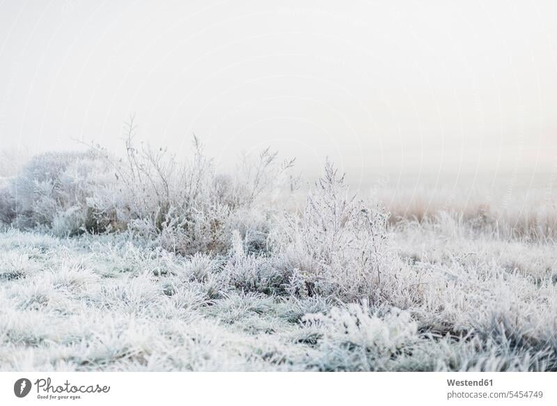 Germany, frost-covered landscape winter hibernal day daylight shot daylight shots day shots daytime scenics sceneries scenery scenic view Solitude seclusion