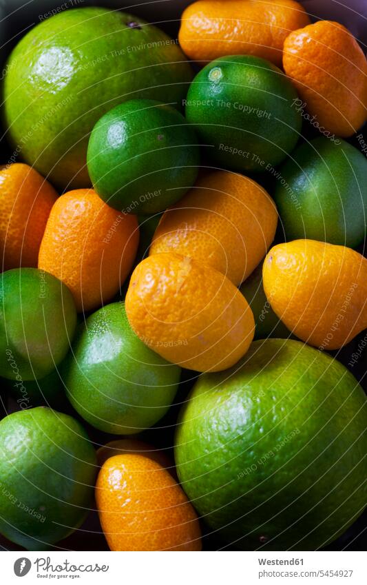 Kumquats, limequats and limes nobody large group of objects many objects plenty Lime Lime Fruit Lime Fruits Limes vitamines copy space kumquat kumquats