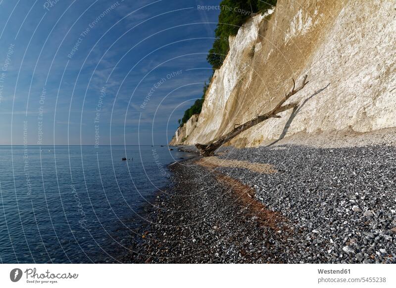 Germany, Mecklenburg-Western Pomerania, Jasmund National Park, Chalk coast at the Baltic Sea nobody chalk cliff chalk cliffs chalk coast White Cliffs Ruegen