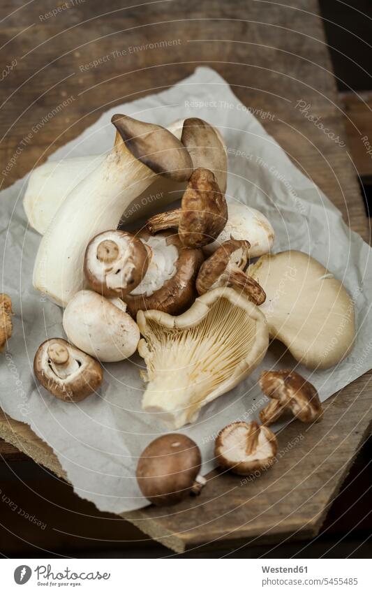 Different mushrooms on paper Champignon White Mushroom Button Mushroom Button Mushrooms Champignons Field Mushrooms nobody overhead view from above top view