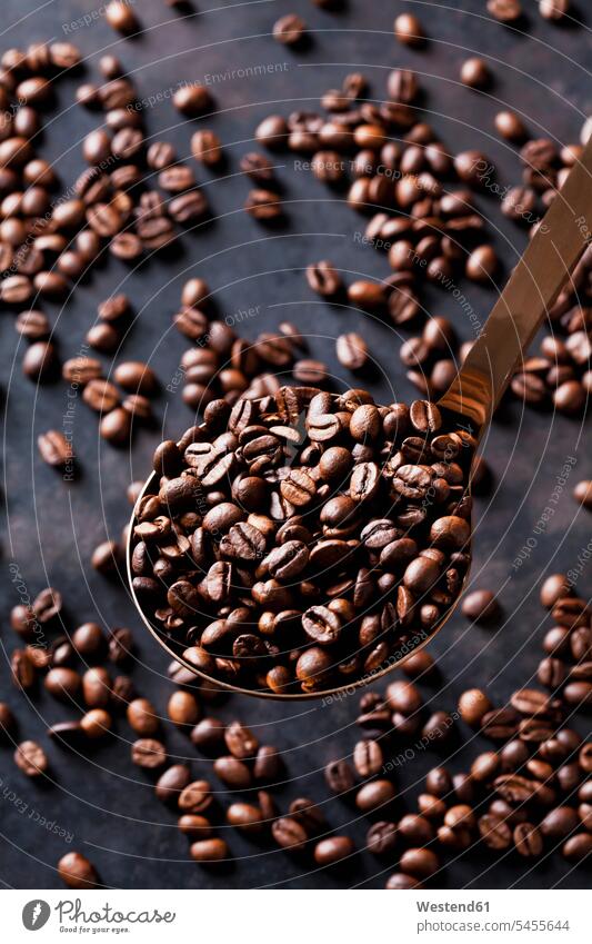 Freshly roasted coffee beans on a spoon studio shot studio shots studio photograph studio photographs Coffee Crops close-up close up closeups close ups