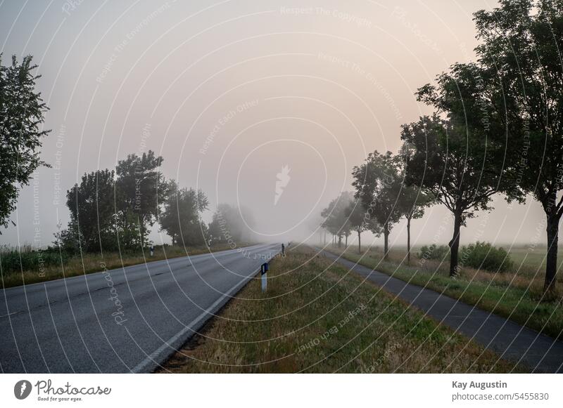 Morning ground fog on a country road Ground fog on a country road Morning fog morning dew time of day Steam Air Sunrise Fog air humidity Agriculture Landscapes