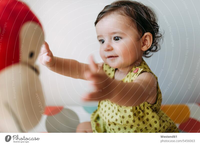 Baby girl playing with a cuddly toy baby infants nurselings babies people persons human being humans human beings brown hair brown haired brown-haired brunette