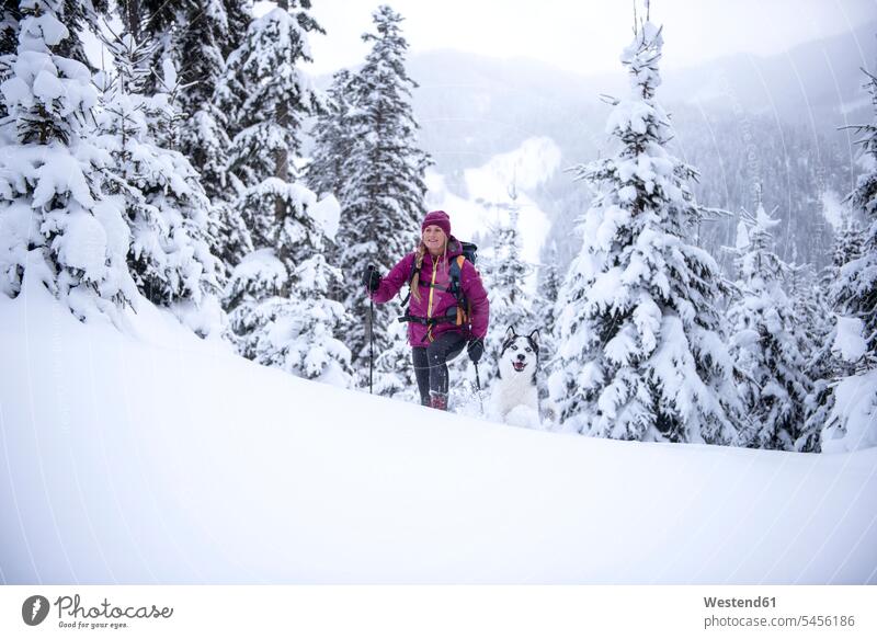 Austria, Altenmarkt-Zauchensee, young woman with dog on ski tour in winter forest dogs Canine skis hibernal woods forests females women excursion Getaway Trip