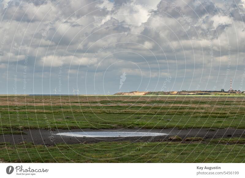 Coast Morsumkiff on the Wadden Sea National Park coast North Sea coast Island Horizon Tide Water Low tide ebb and flow Slick Mud flats Ocean Vacation & Travel