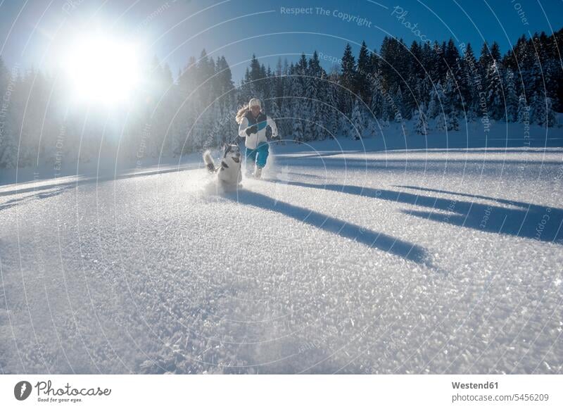 Austria, Altenmarkt-Zauchensee, happy young woman running with dog in snow Fun having fun funny dogs Canine females women happiness playing winter hibernal