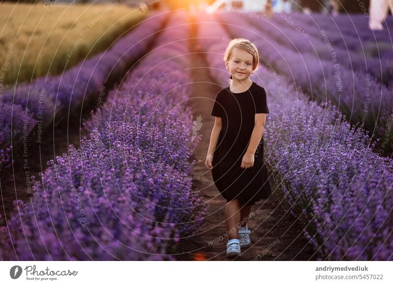 International Children's Day. Adorable smiling little child girl in black dress is walking in the large lavender field on sunset on summer holiday. Kid spending time with her family on nature
