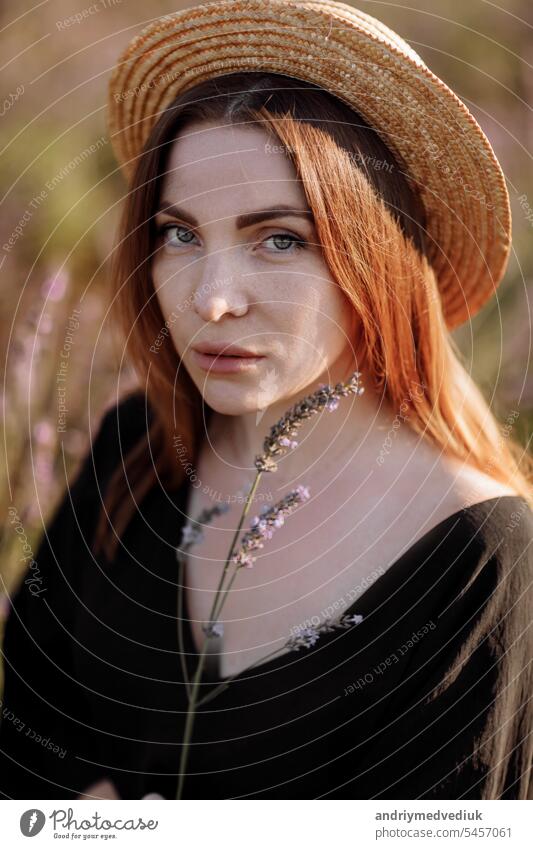 Portrait of young attractive romantic woman in black dress with deep decollete and straw hat holds lavender flower in blooming fragrant purple lavender field. Natural beauty concept. Women's day.