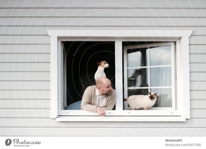 Mature man with cat and dog leaning out of window of his house animals creature creatures domestic animal pet cats windows pane panes window glass