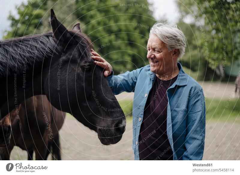 Smiling senior man caressing a horse on a farm agriculturist agriculturists farmers shirts smile delight enjoyment Pleasant pleasure happy content