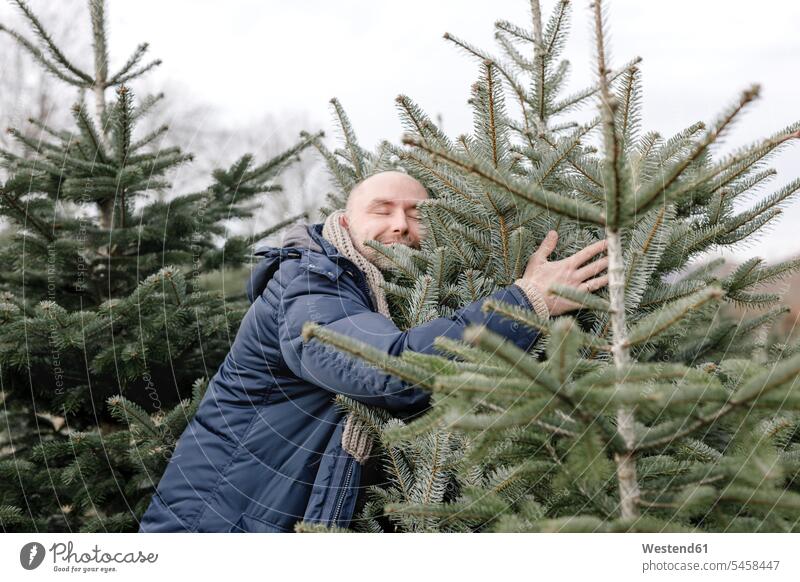 Smiling man hugging Christmas tree on a plantation men males Plantation Plantations Christmas trees embracing embrace Embracement smiling smile Adults grown-ups