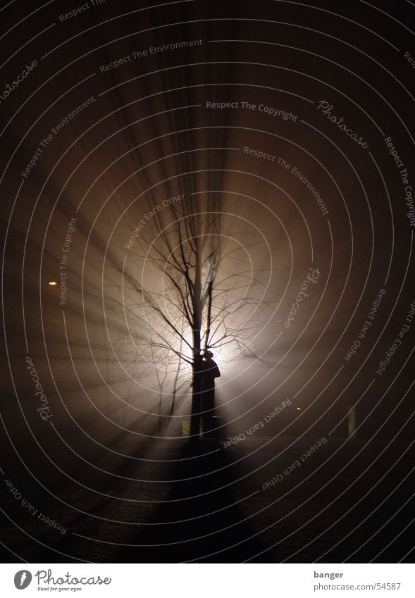 Clara in Zetkin Park in the headwind Night Back-light Tree Monument Cinema Fog Light (Natural Phenomenon) clara zetkin Snow