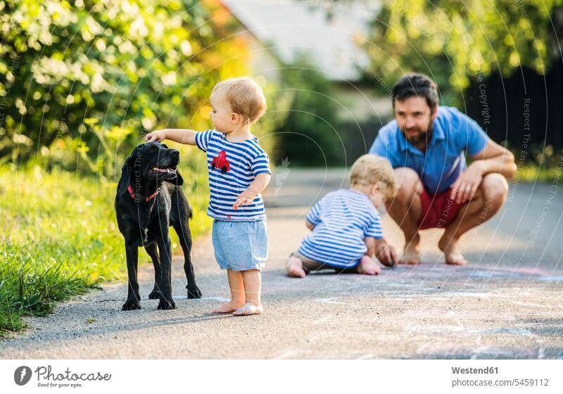 Baby girl stroking dog while father watching her from the background alertness baby girls female pa fathers daddy dads papa dogs Canine petting observing