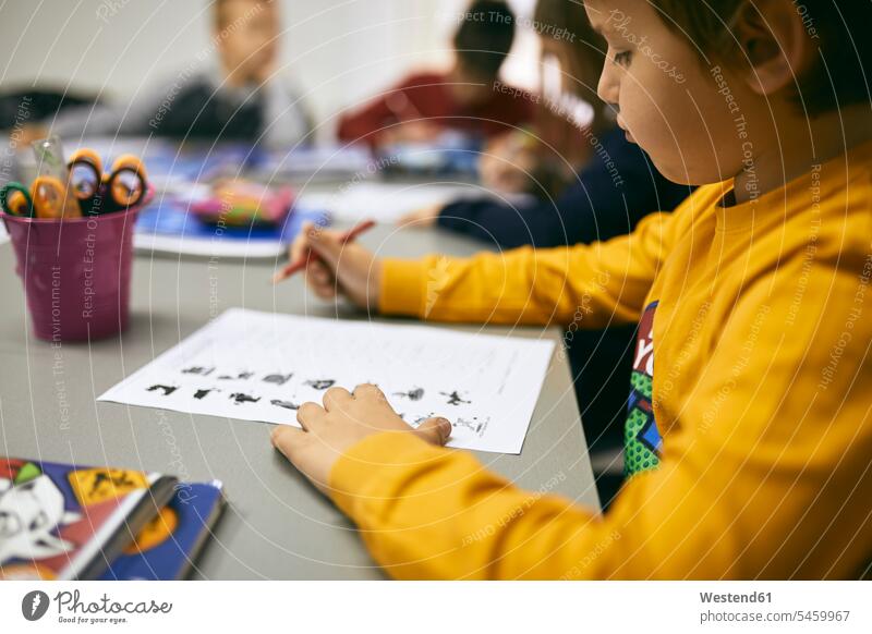 Students learning in class Schoolboy Schoolboys Classroom class rooms Schoolroom classrooms school schools primary school elementary school primary education