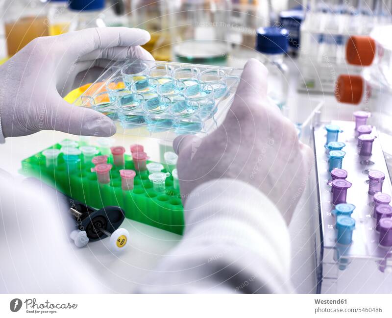 Biotechnology Research, Scientist viewing specimens in a multi well plate during an experiment in the laboratory experimenting trials science sciences