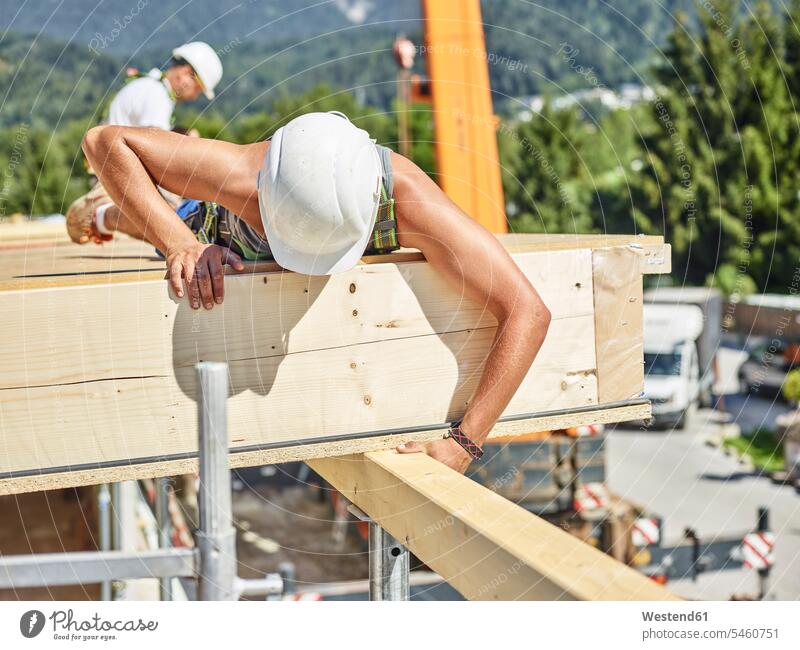 Austria, worker checking roof construction scrutiny scrutinizing wood wooden working At Work blue collar worker workers blue-collar worker Roof man men males