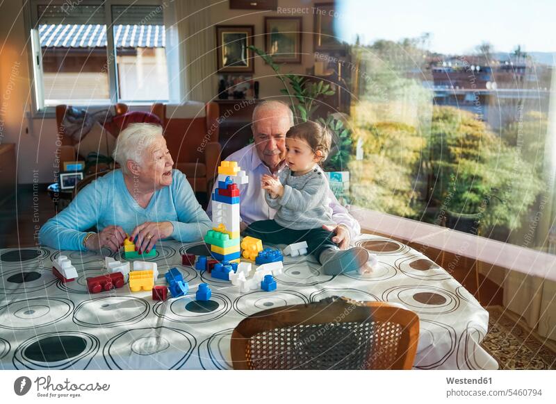 Great-grandparents and baby girl playing together with plastic building bricks at home baby girls female infants nurselings babies great-grandparents Block Toy