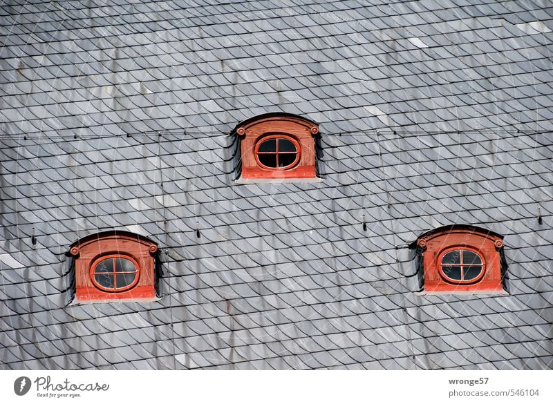 Three eyes quedlinburg Germany Saxony-Anhalt Europe Small Town Downtown Old town Deserted House (Residential Structure) Half-timbered house Window Roof Dormer