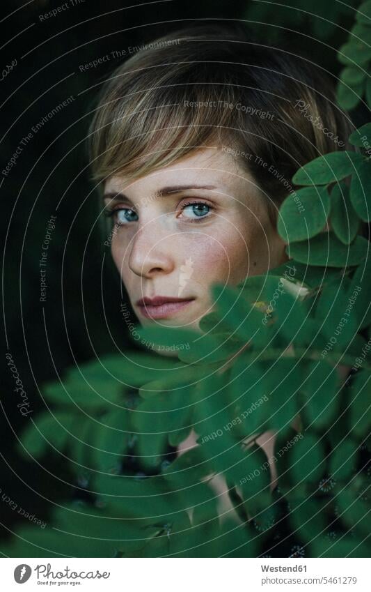 Portrait of a woman behind leaves portrait portraits Leaf Leaves females women Plant Plants Adults grown-ups grownups adult people persons human being humans