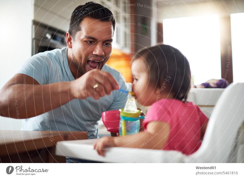 Father feeding baby girl sitting in high chair at home Seated daughter daughters father pa fathers daddy dads papa High Chair baby high chair baby's high chair