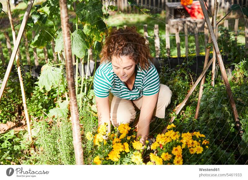 Young brunette woman gardening human human being human beings humans person persons 1 one person only only one person adult grown-up grown-ups grownup grownups