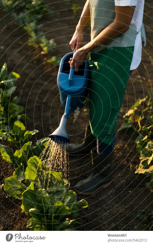 Woman watering platns in garden horticulture yard work yardwork free time leisure time farmland Fields location shot location shots outdoor outdoor shot