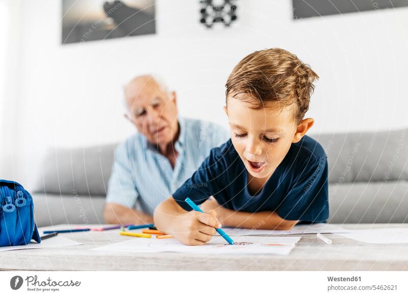 Portrait of little boy drawing with coloured pencils while his grandfather in the background watching him boys males sketching Colored Pencil Colored Pencils