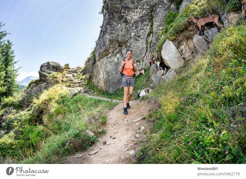 Switzerland, Valais, happy woman on a hiking trip in the mountains from Belalp to Riederalp females women hike happiness hiking tour walking tour mountainscape