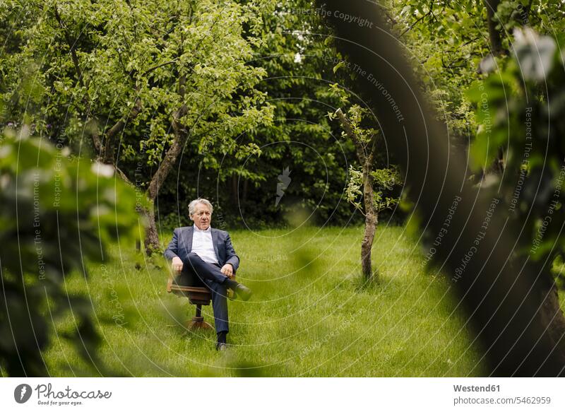 Senior businessman sitting on a chair in a rural garden business life business world business person businesspeople Business man Business men Businessmen