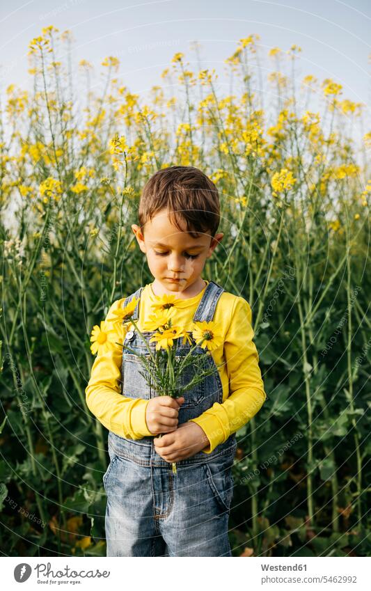 Portrait of little boy with picked flowers in nature natural world plucked boys males Flower Flowers portrait portraits child children kid kids people persons