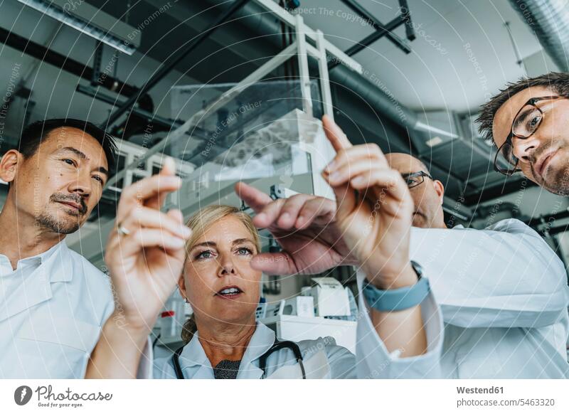 Scientists examining human brain slide while standing at laboratory color image colour image indoors indoor shot indoor shots interior interior view Interiors