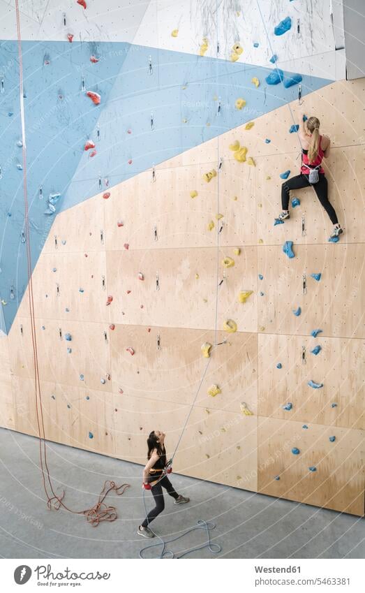 Woman with a rope securing partner on the wall in climbing gym (value=0) human human being human beings humans person persons caucasian appearance