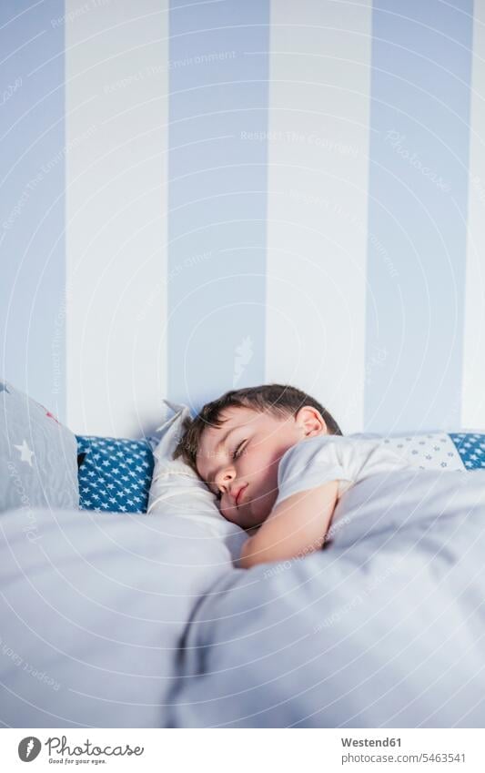 Little boy sleeping on bed in the morning human human being human beings humans person persons caucasian appearance caucasian ethnicity european 1