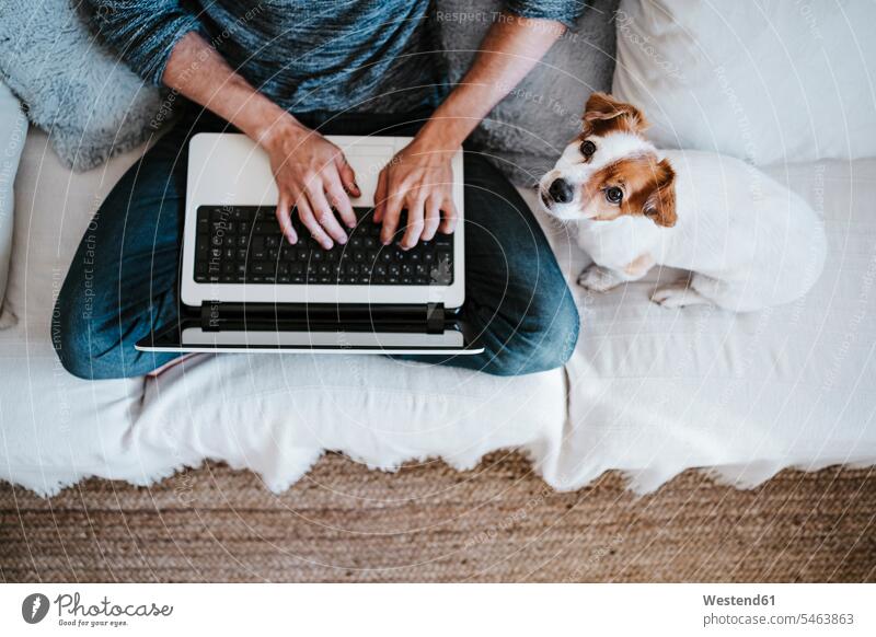 Man working on laptop while sitting by dog on sofa at home color image colour image indoors indoor shot indoor shots interior interior view Interiors