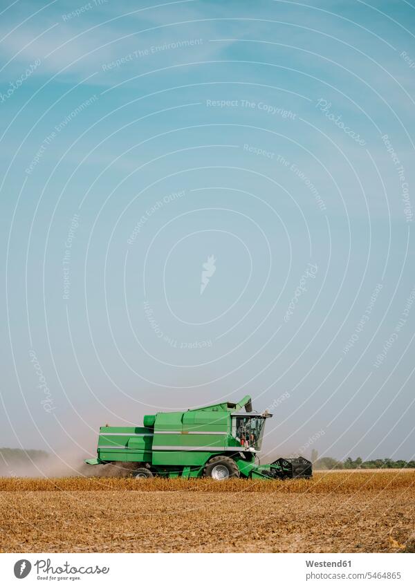 Serbia, Vojvodina, Combine harvester in soybean field caucasian caucasian ethnicity caucasian appearance european Soybeans outdoors outdoor shots location shot