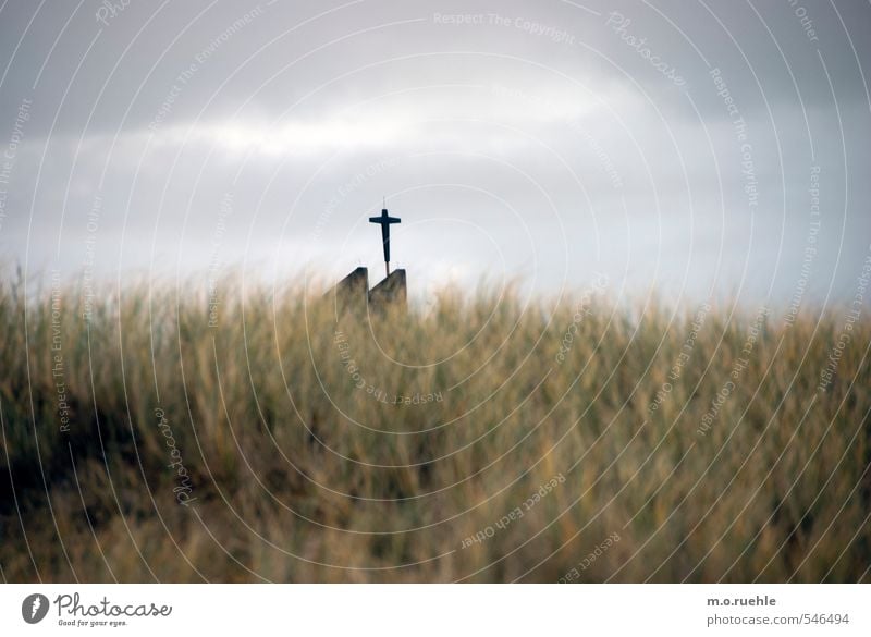 cross and grass Vacation & Travel Tourism Trip Far-off places Beach Environment Nature Landscape Bad weather Wind Grass Bushes Wild plant Coast North Sea