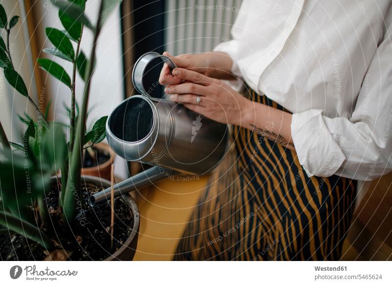 Close-up of female owner watering potted plants in coffee shop color image colour image Germany indoors indoor shot indoor shots interior interior view